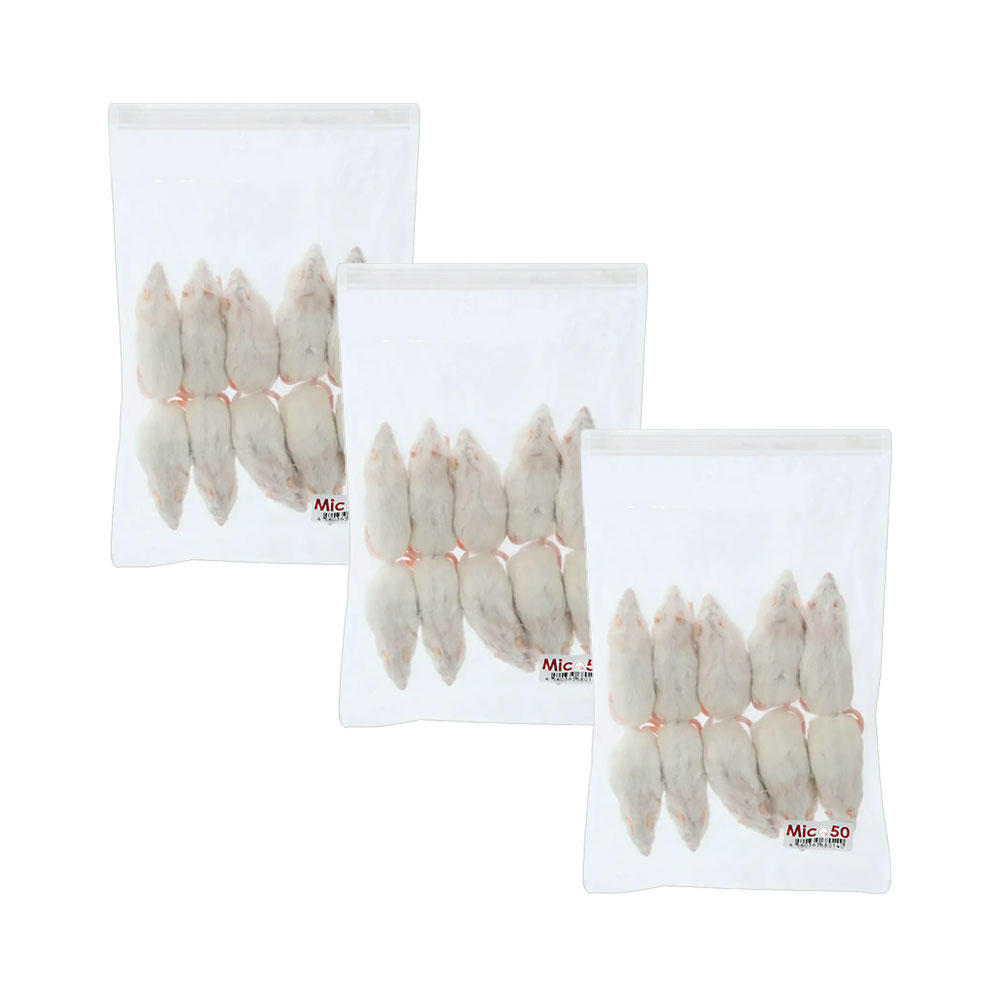 楽天市場】冷凍マウス 50の通販