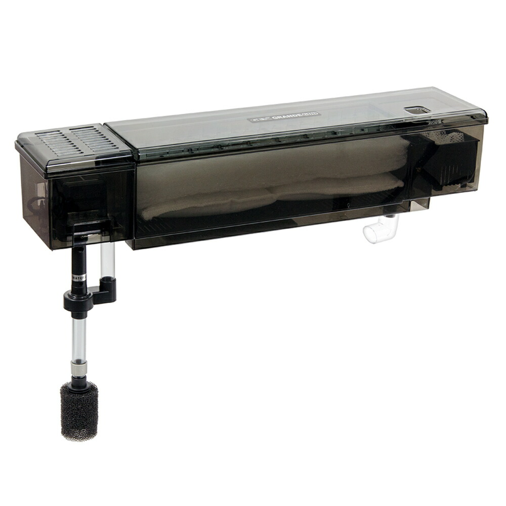 楽天市場】【3／1限定】当選確率2分の1！1等最大100％ GEX