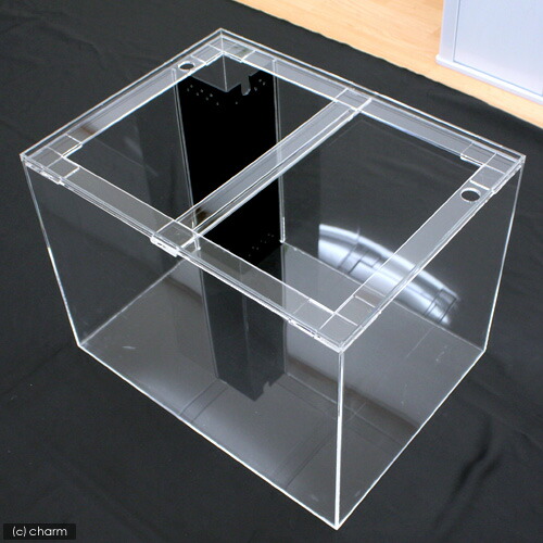 楽天市場】メーカー直送 水槽 アクリル水槽 OFコーナー付（サイズ