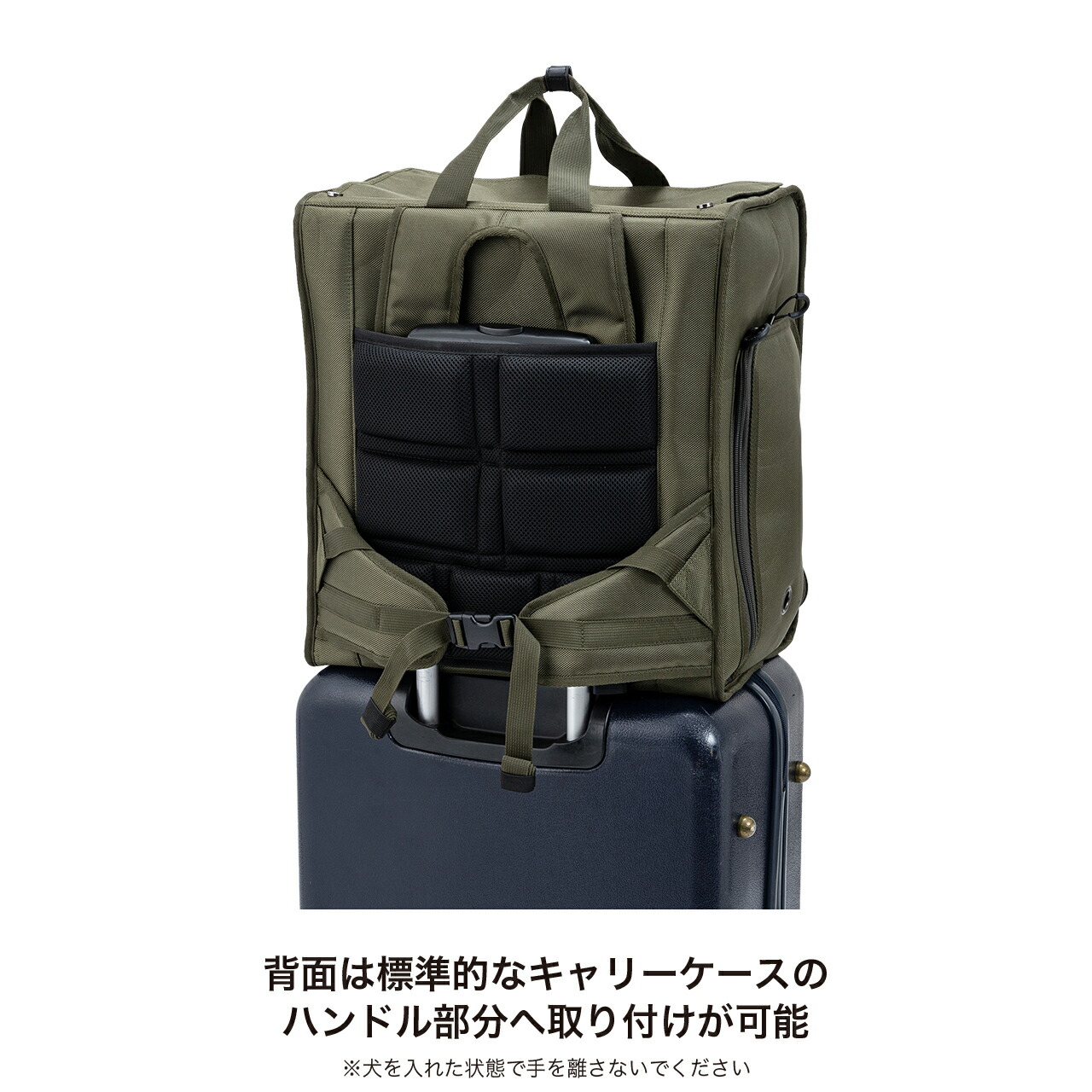 楽天市場】マンダリンブラザーズ キャリー リニューアル おしゃれ 犬