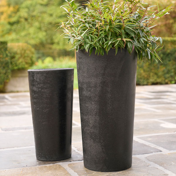 楽天市場】D&M(ディーアンドエム) ウェッジポット Ф23 クリーム