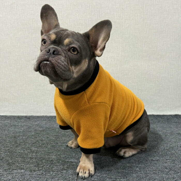 楽天市場】【doggystar ドッギースター】フレブル 服 フレンチ