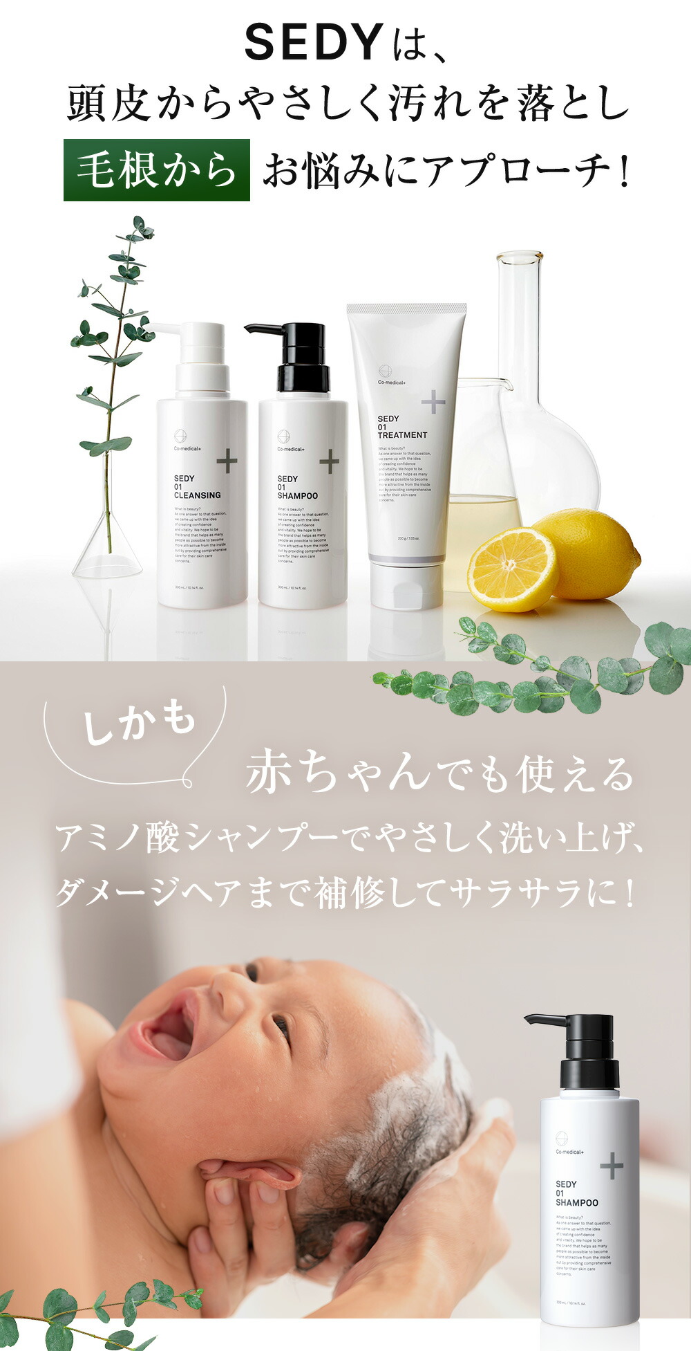 楽天市場】【公式ストア】 CO SEDY 01 シャンプー 300mL アミノ酸系