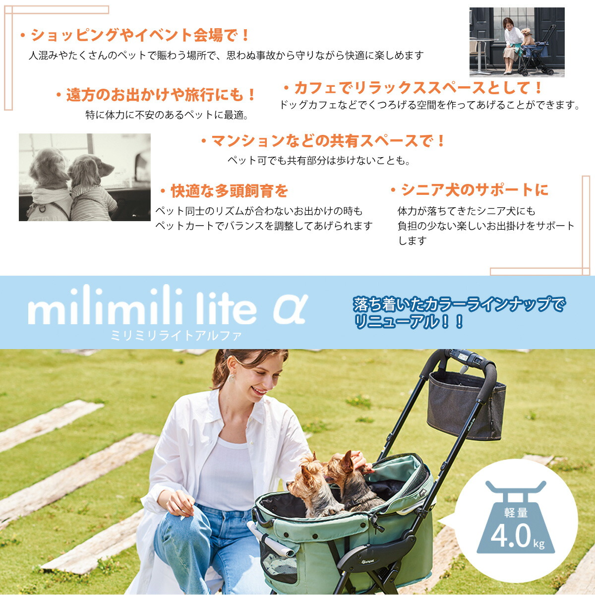 楽天市場】＼ポイント5倍／【コムペット公認】コムペット ミリミリ