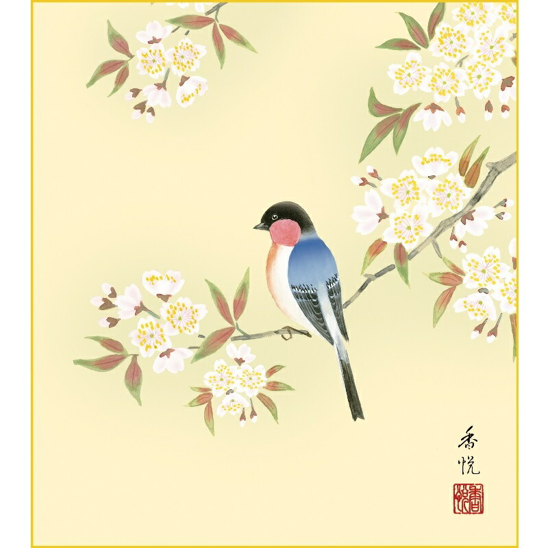 楽天市場】色紙絵 花鳥画【西尾香悦】桜に瑠璃鳥 四季絵 k5-020a 花鳥