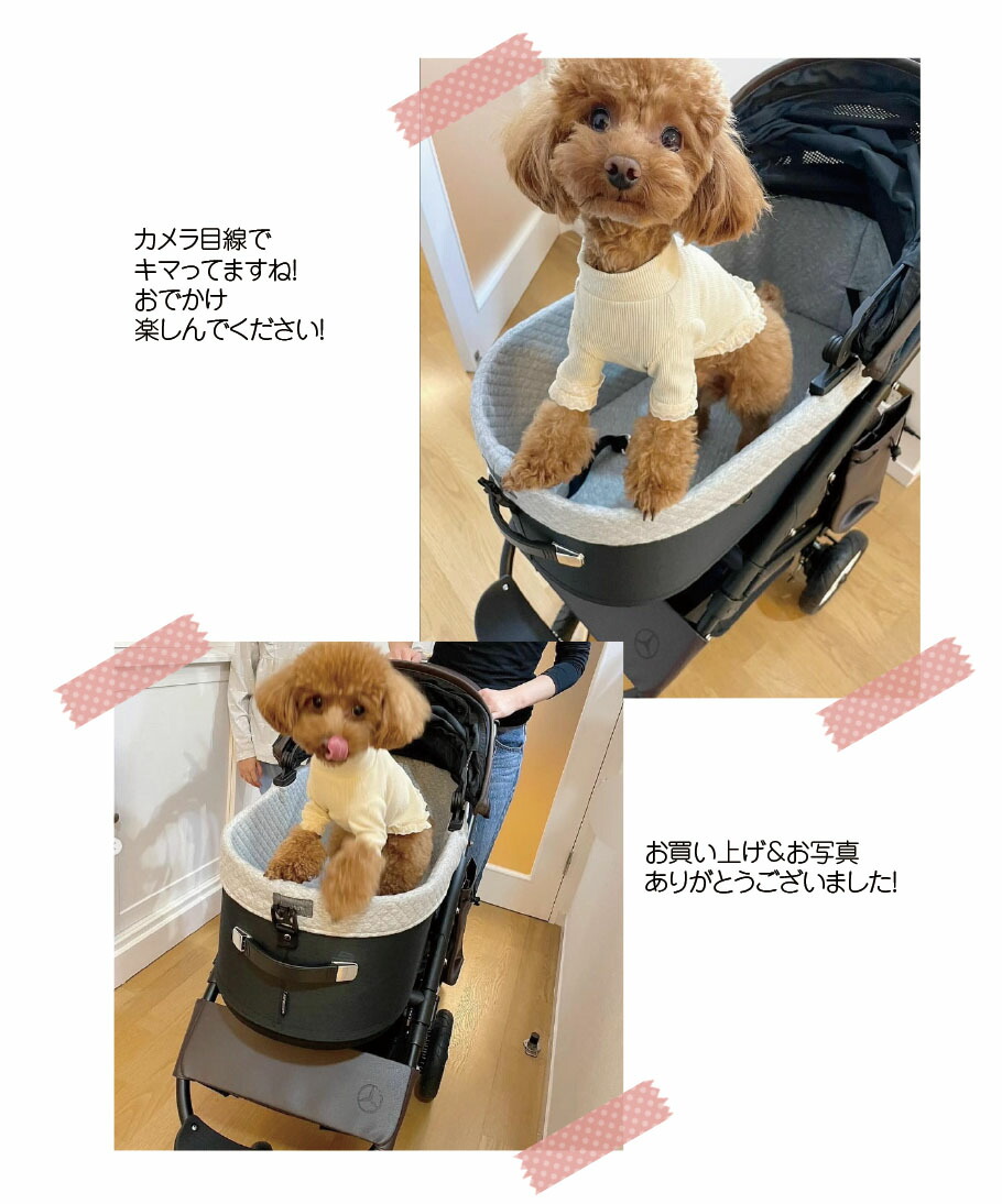 楽天市場】Mercedes-Benz × AIRBUGGY 純正 メルセデスベンツ