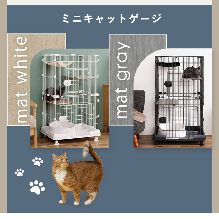 楽天市場】【最大400円クーポン！くらしにプラス】【激アツ価格