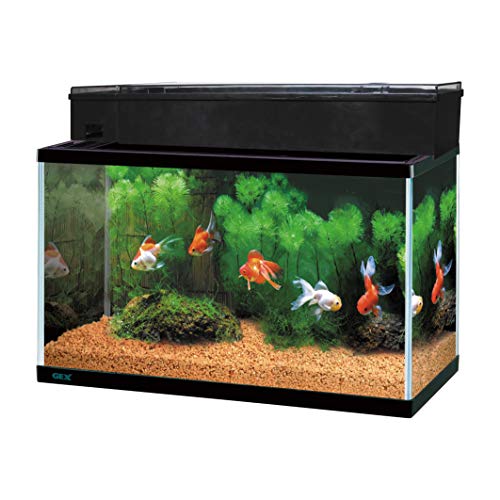 楽天市場】gex fluval marine nanoの通販