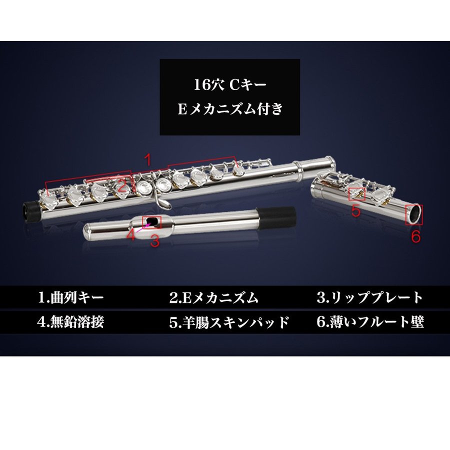 楽天市場】＼ 楽天1位 ／ フルート 初心者 ハードケース セット 楽譜 C