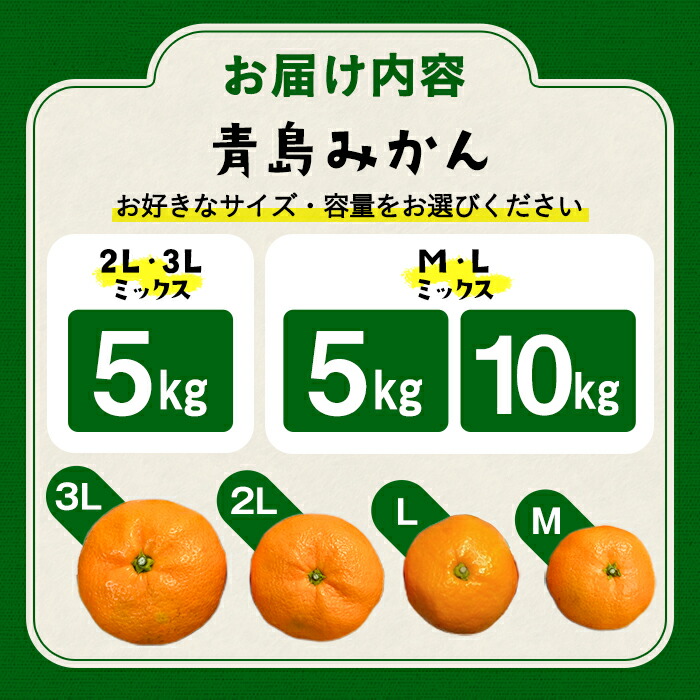 楽天市場】【ふるさと納税】＜内容量が選べる！＞青島みかん(5～10kg