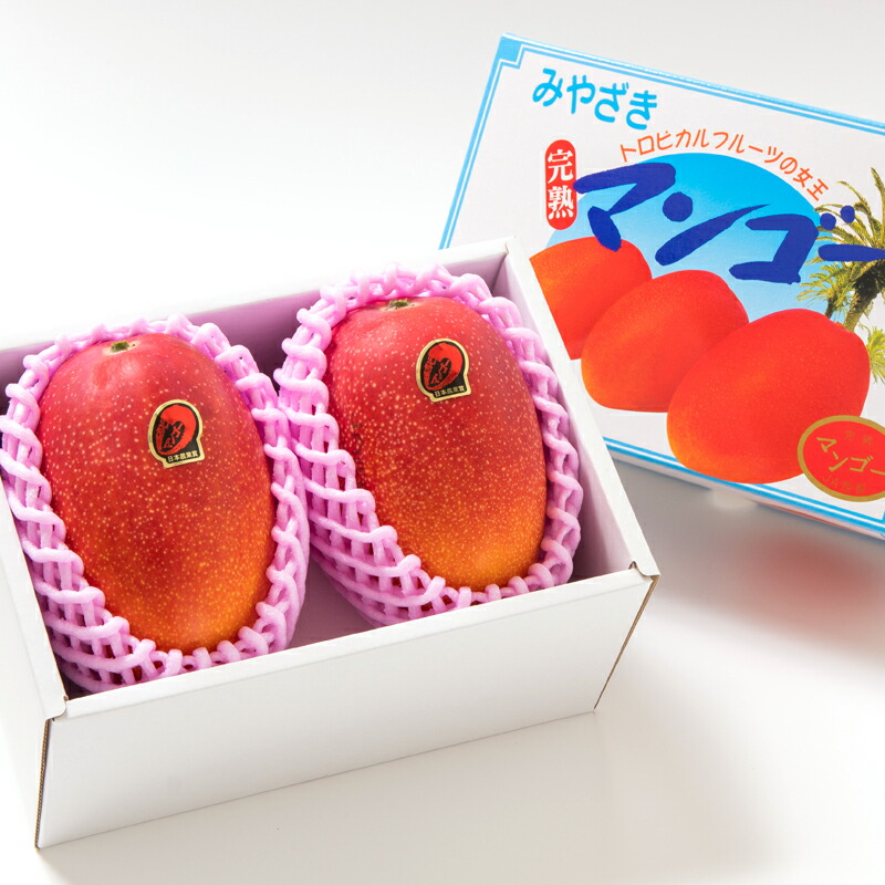 楽天市場】【ふるさと納税】西都市産 完熟マンゴー4L×2玉（約1kg