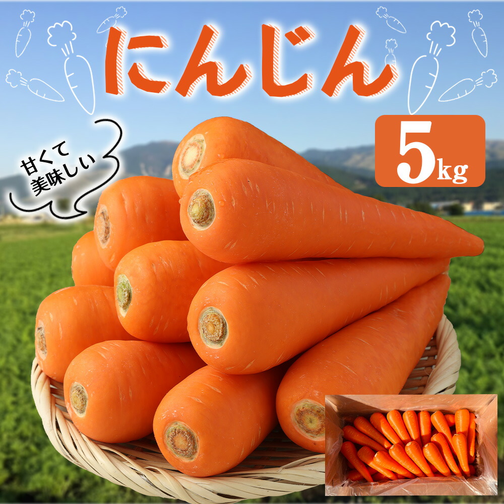 楽天市場】【ふるさと納税】にんじん 5kg 特別栽培 人参 ニンジン 国産