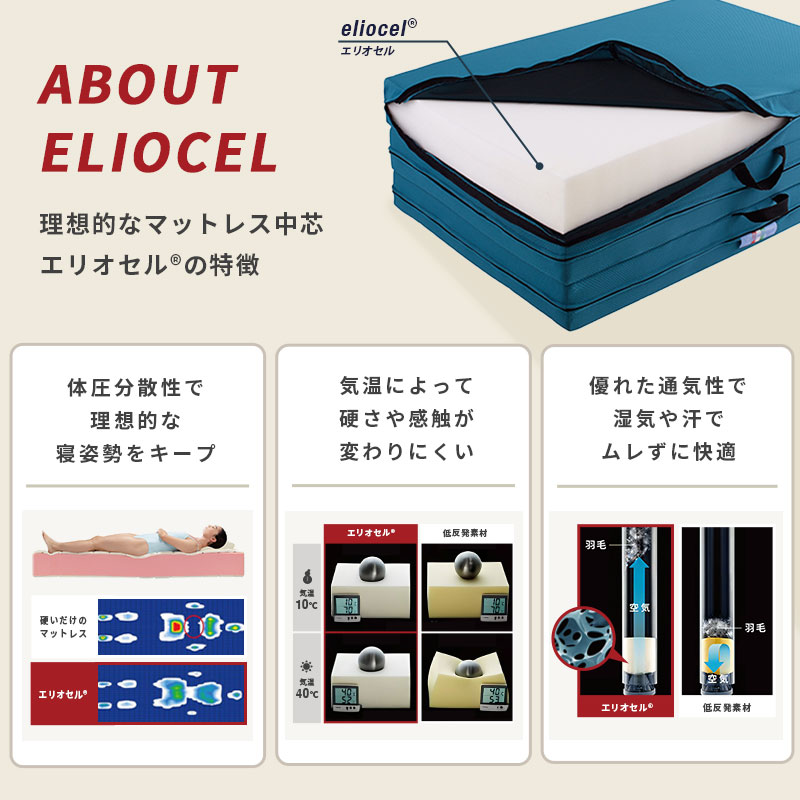 楽天市場】【4日20時〜P5倍】【正規販売店・10年保証 】在庫あり即納