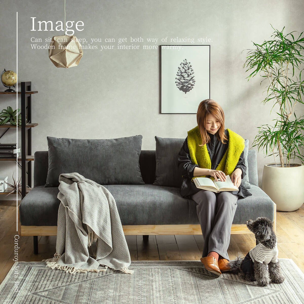 楽天市場】【開梱設置付】ソファーベッド ソファベッド リクライニング