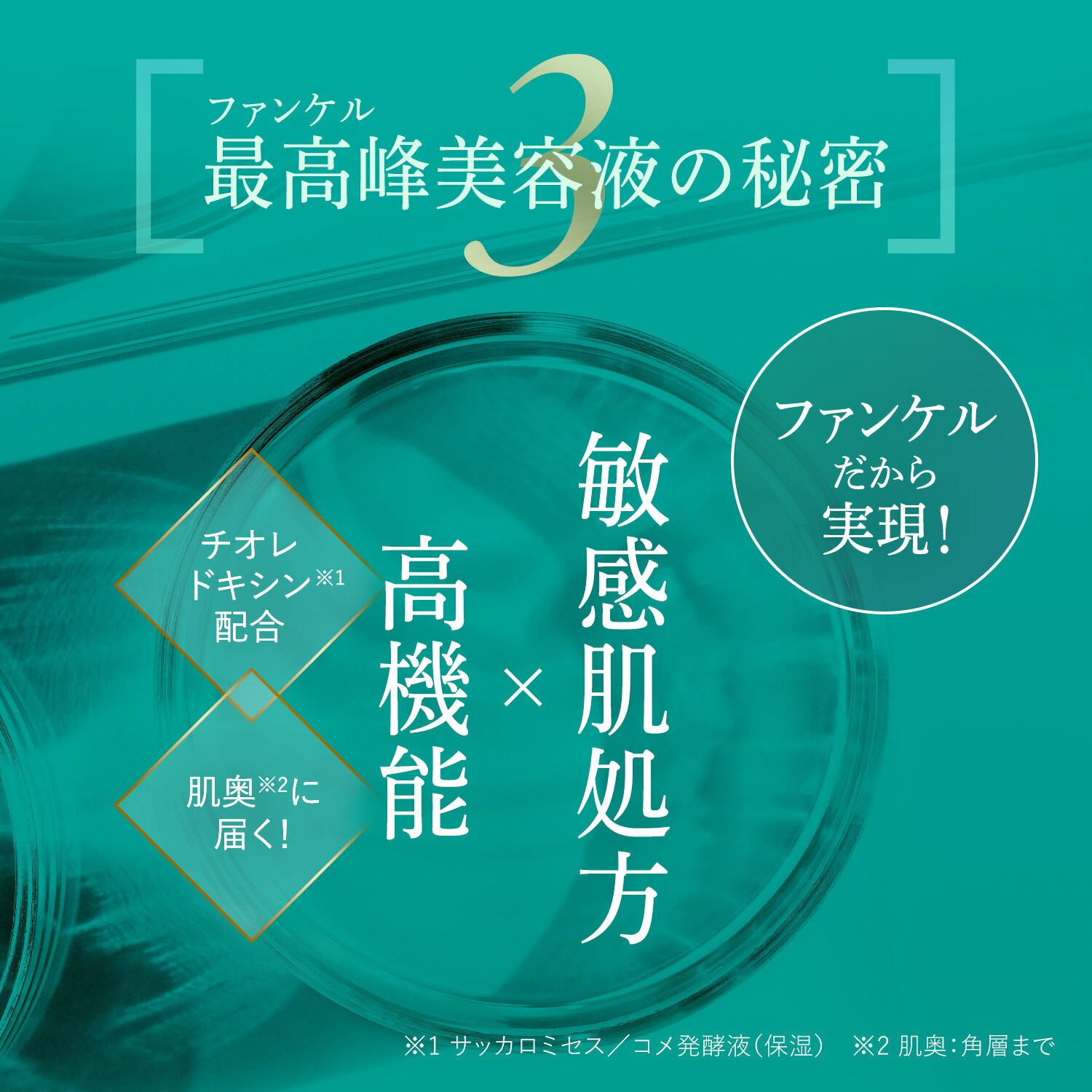 楽天市場】【ポイント5倍 3/4(水) 20:00〜3/11(水) 1:59まで】コア