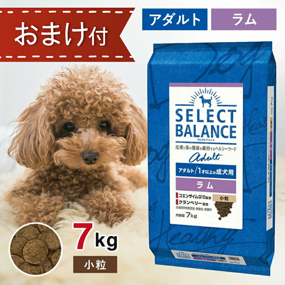 楽天市場】 セレクトバランス アダルト ラム 小粒 7kg ペットフード