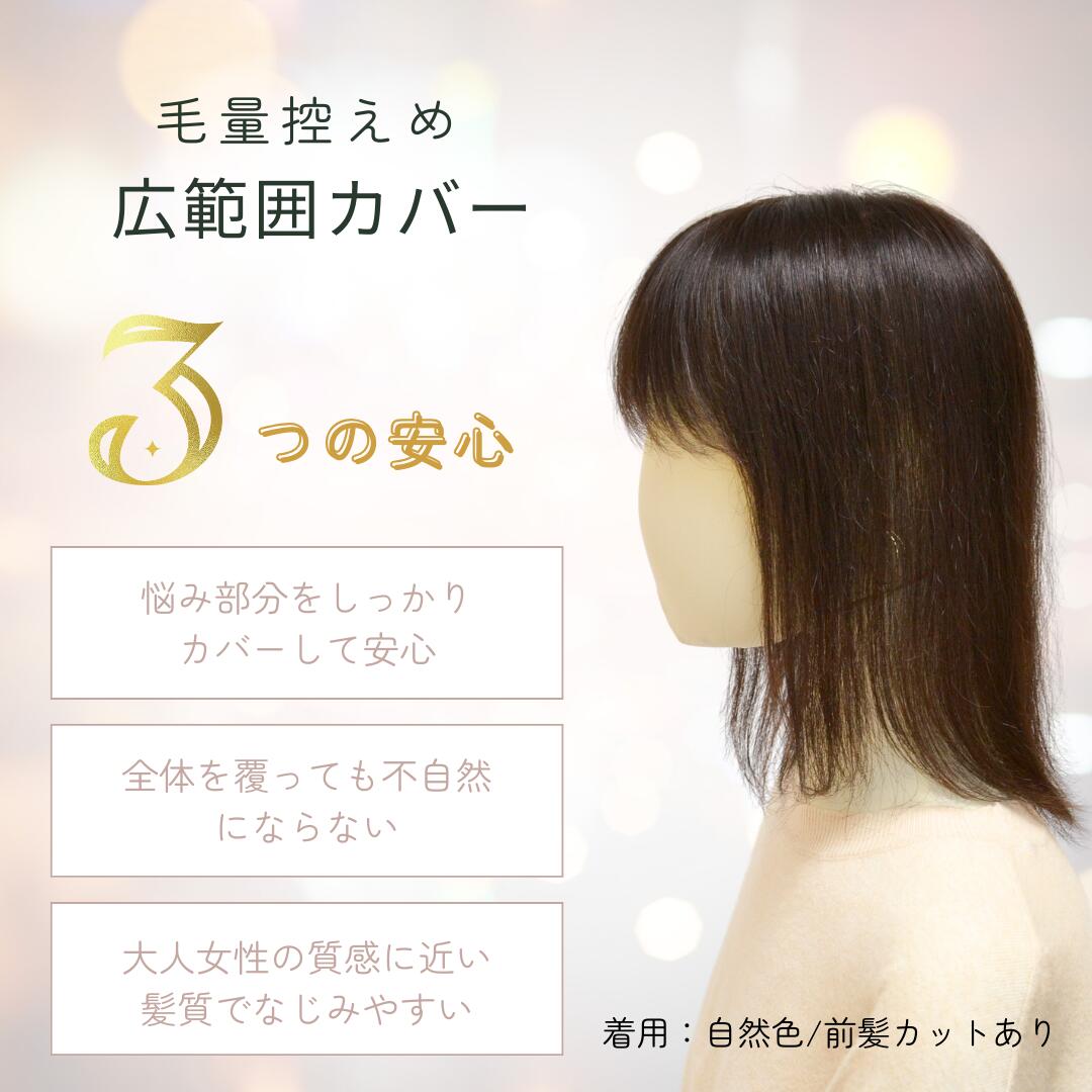 楽天市場】頭頂部全体が気になる方へ 増えすぎない毛量控えめシリーズ