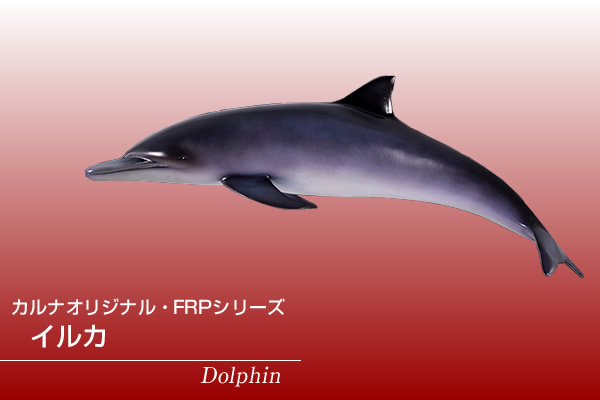楽天市場】FRPアニマルオブジェ イルカ置物 動物 魚 海豚 いるか