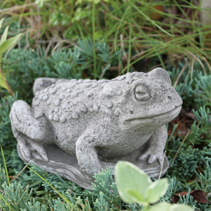 楽天市場】【SS限定☆エントリーで＋P10倍＆MAX15％OFFクーポン