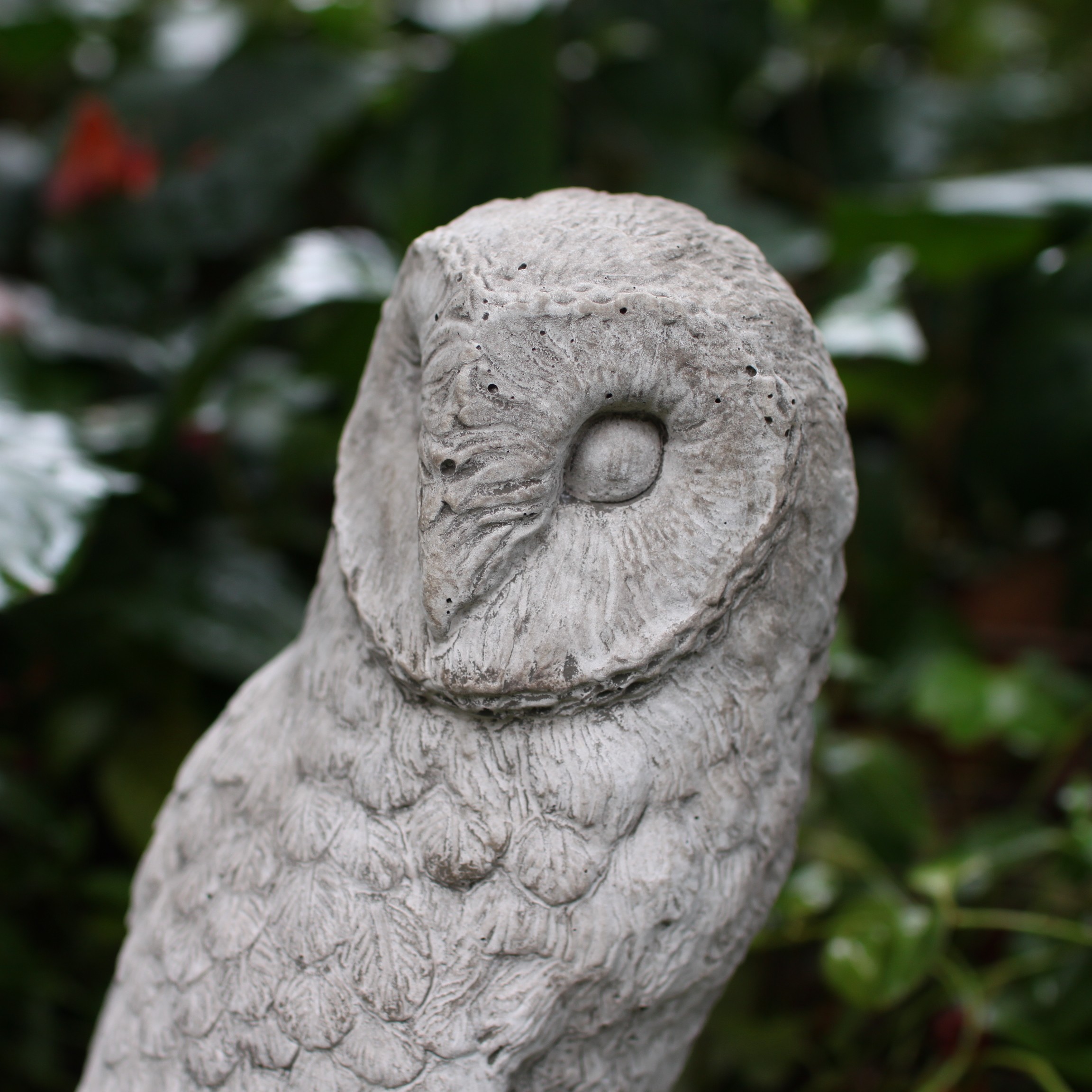 楽天市場】【SS限定☆エントリーで＋P10倍＆MAX15％OFFクーポン