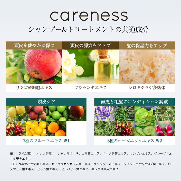 楽天市場】【期間限定！半額セール】5,800円→2,900円☆4日20時