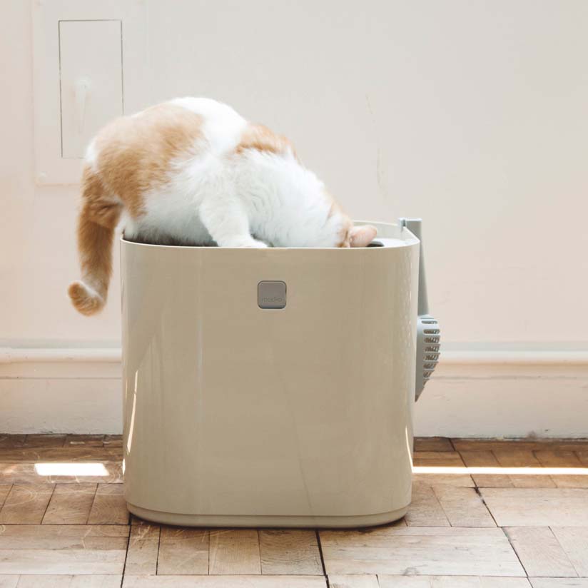 楽天市場】Modkat 2010年アメリカレッドドットデザイン賞受賞