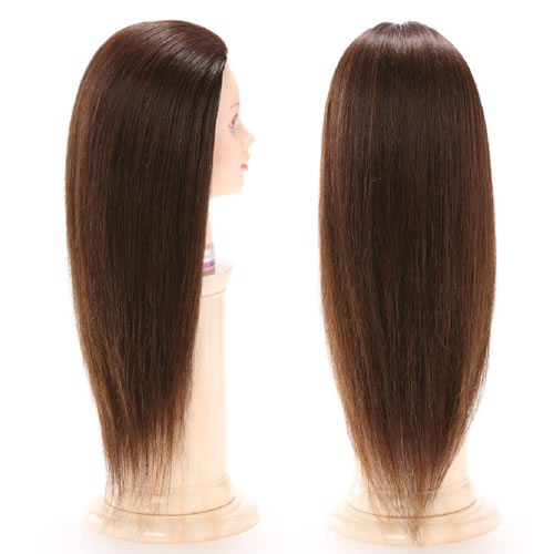 楽天市場】レジーナ アップウィッグ LJ-002 Ver.2 栗色【高級人毛100