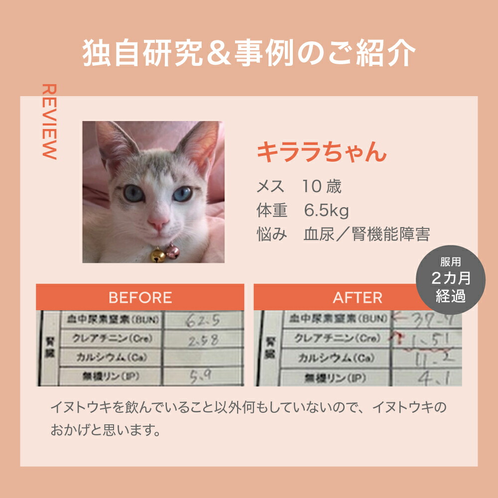 楽天市場】5歳からのケア 『JINパワー100』 イヌトウキ 犬 猫 腎臓