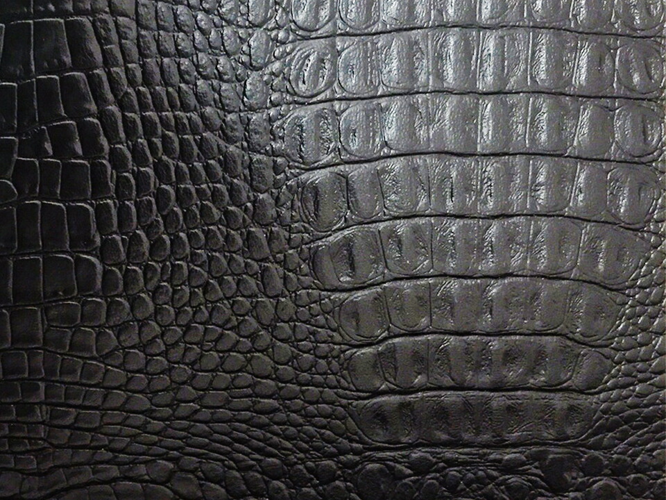 楽天市場】ワニ革 合皮レザー生地【リッチクロコダイル 黒】[CROCO-RC