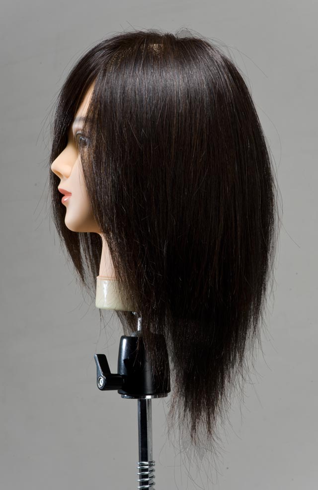 楽天市場】【送料無料】Emilly カットウィッグ (100％人毛) 練習