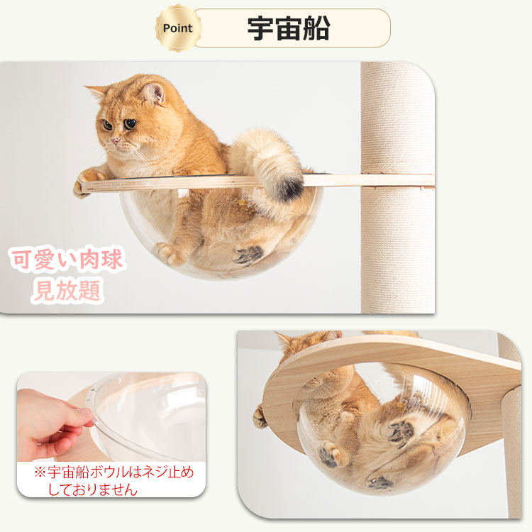 楽天市場】【楽天1位・板厚み15mm】6段タイプ・あす楽 キャットタワー