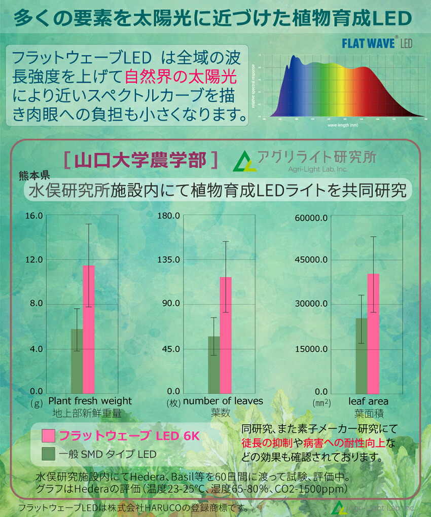 楽天市場】HaruDesign 植物育成ライト HASU38 spec9 6K ブラック