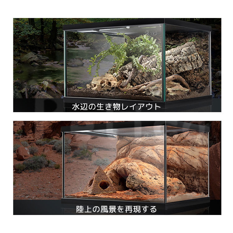 楽天市場】テラリウム 爬虫類 飼育 ケージ 両生類 カメ カニ グラス