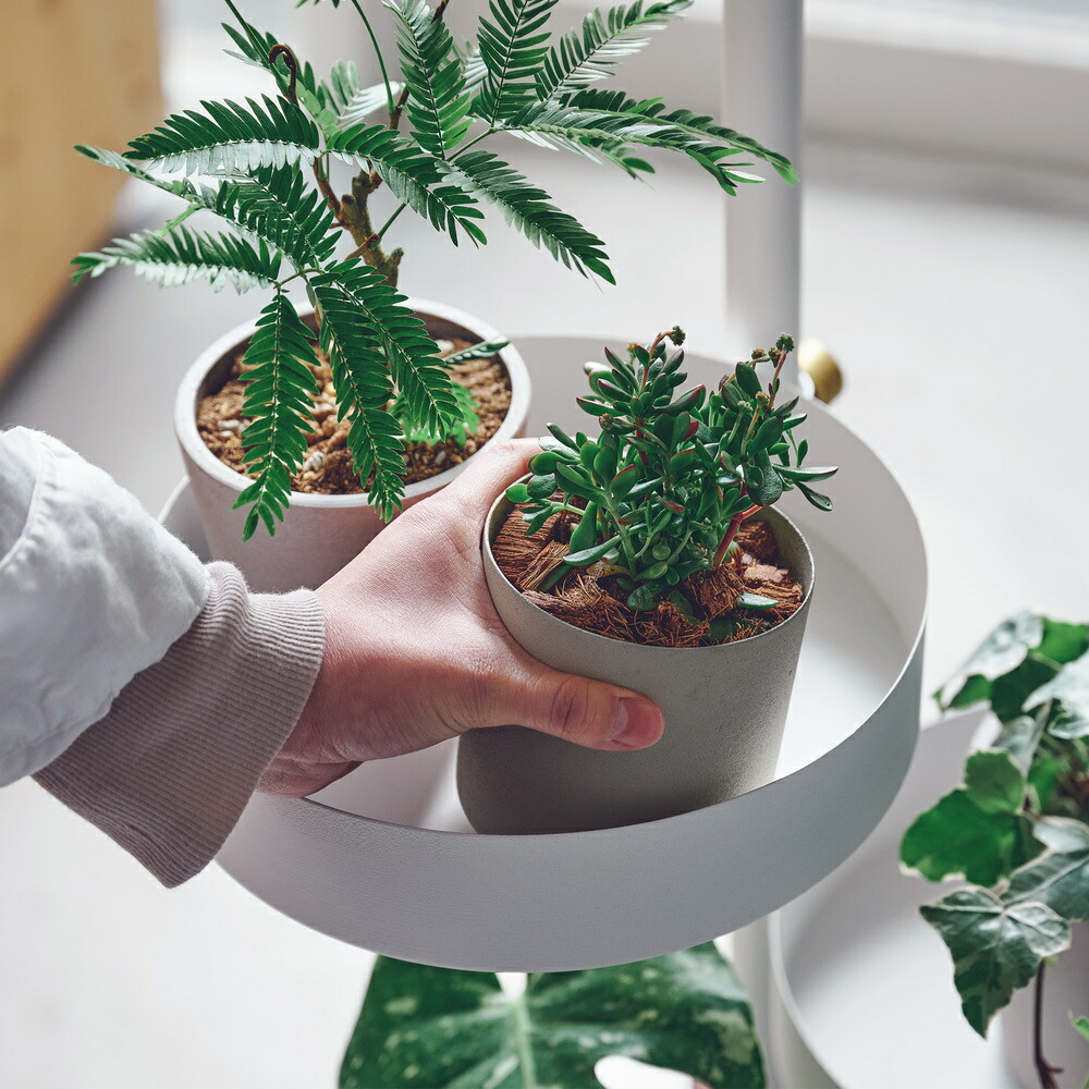 楽天市場】【公式】DRAW A LINE ドローアラインMove SET Hook B+Tray×2