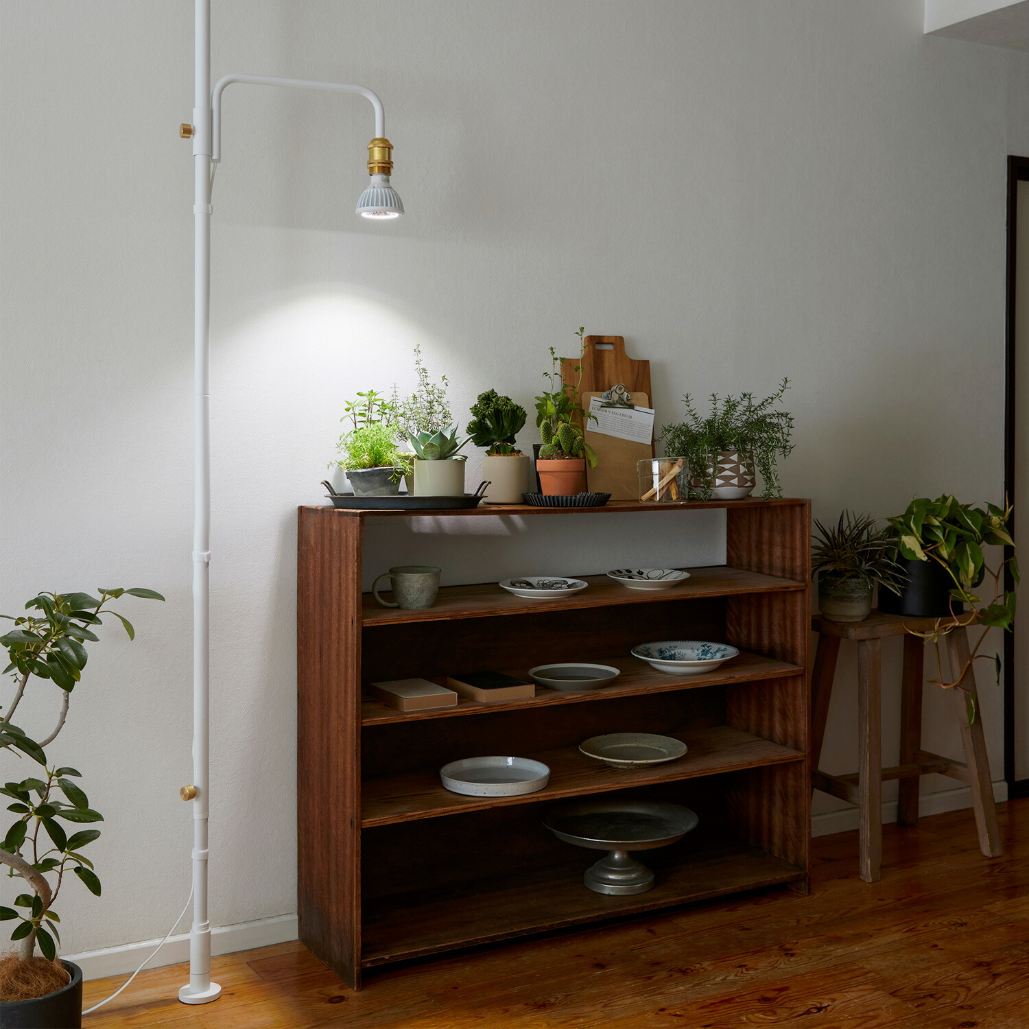 楽天市場】【公式】DRAW A LINE ドローアライン SET ホワイト Light