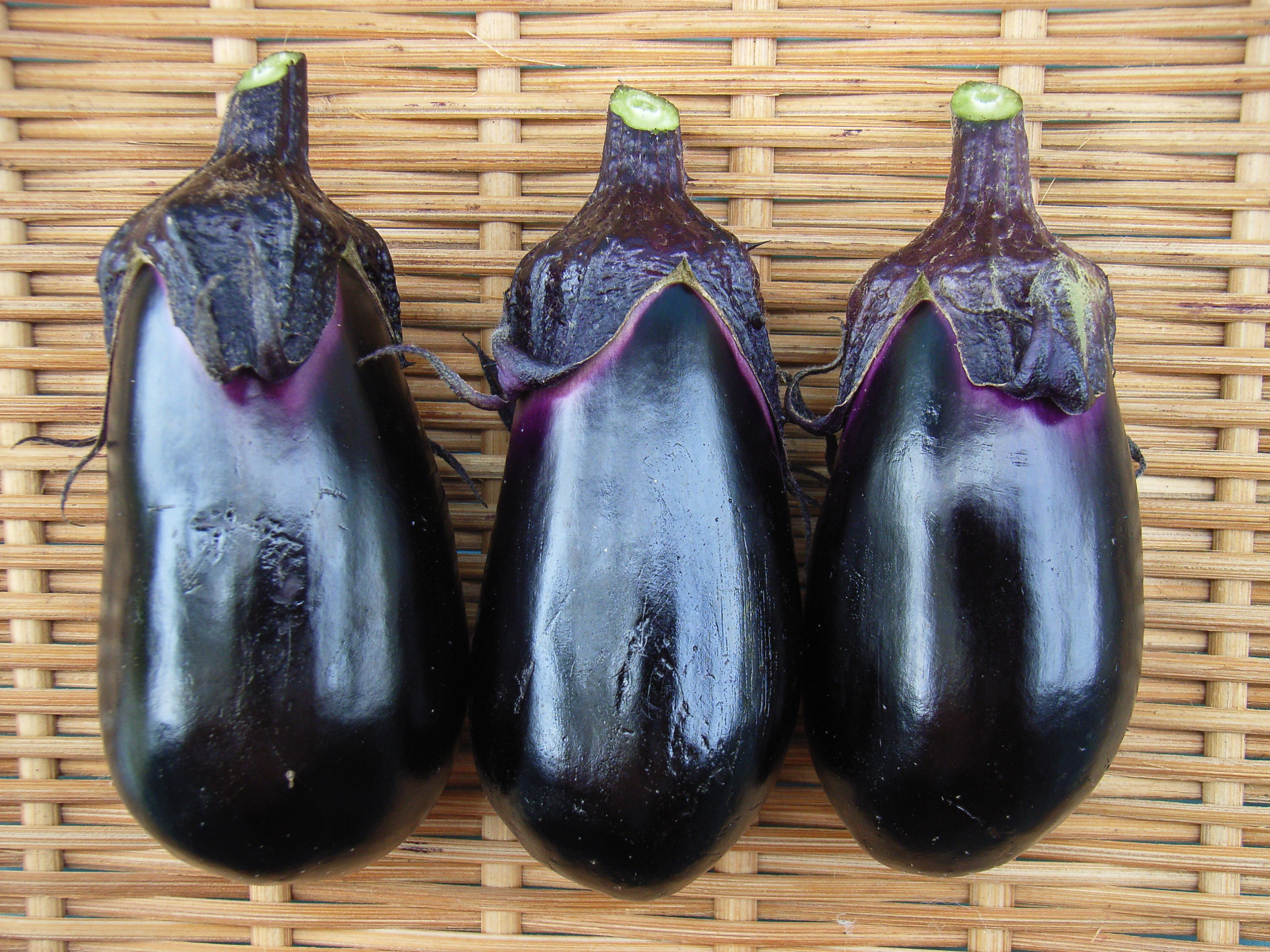 楽天市場】北越交配 茄子 ナス みずほ十全 20ml 野菜タネ 北越農事