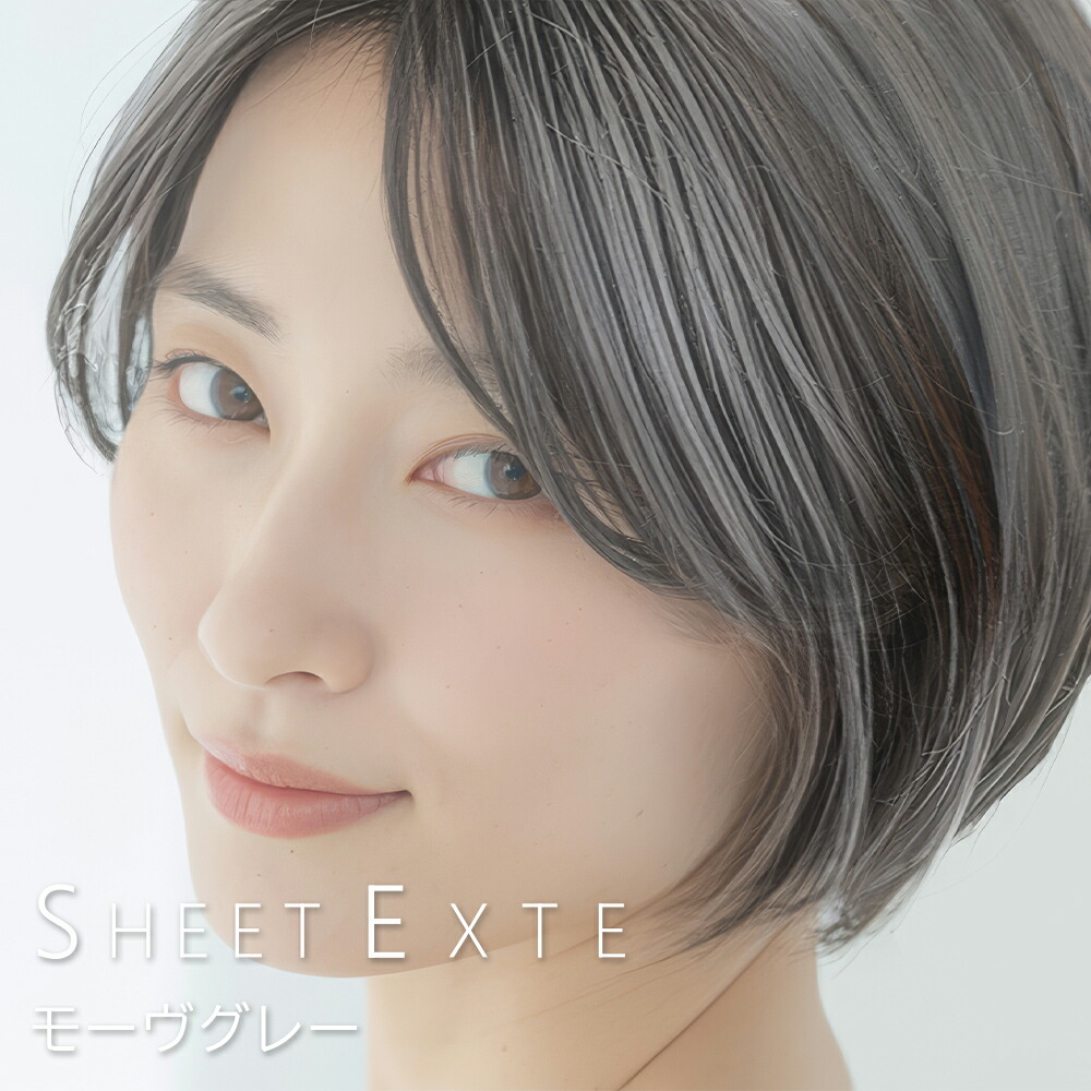 楽天市場】シートエクステ モーヴグレー 1枚 【送料無料(全国