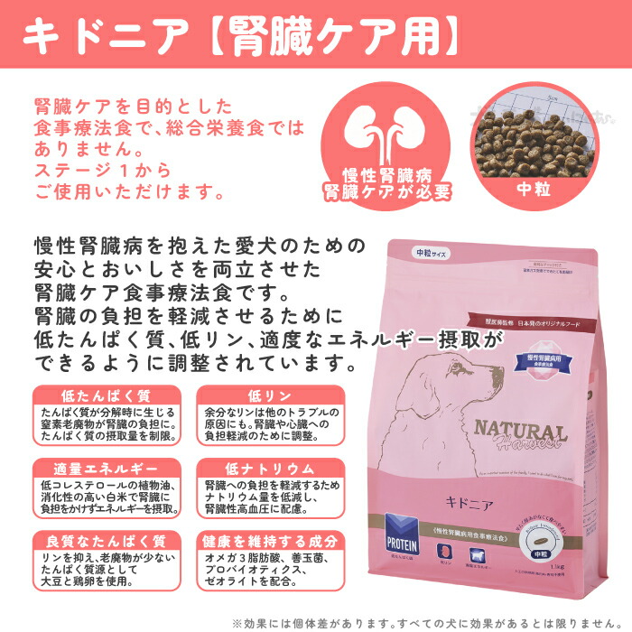 楽天市場】ナチュラルハーベスト キドニア 犬用 6kg 腎臓ケア 腎臓