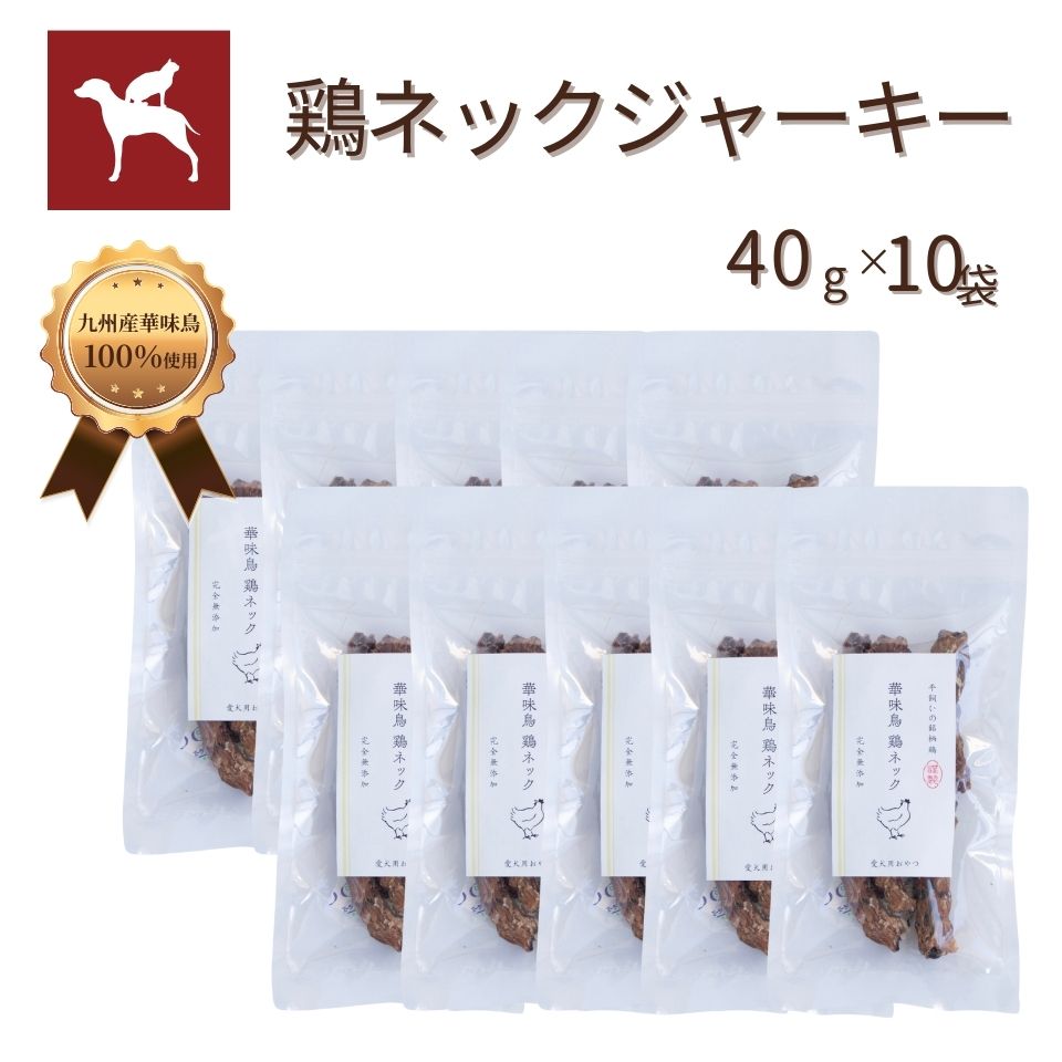 うまか ドッグフード」の人気商品一覧 | 安い商品を通販サイトから探す