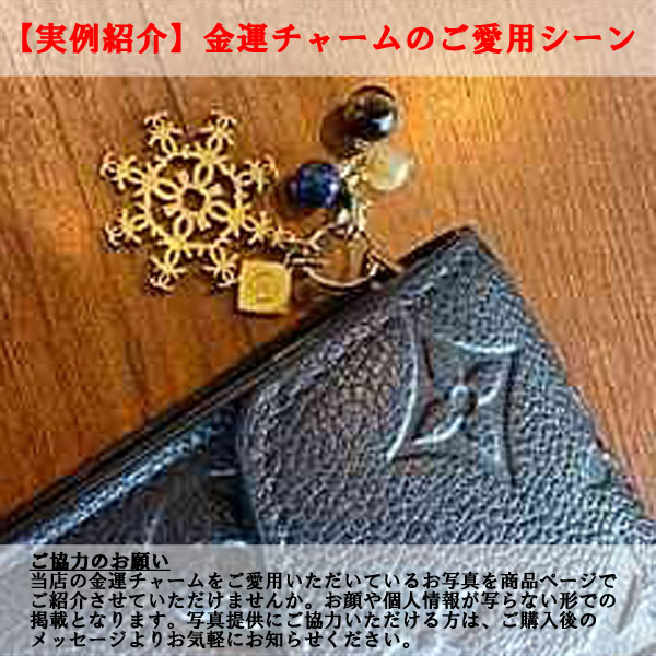 楽天市場】【天然石チャーム】【金運チャーム】【一粒万倍日】最強開運