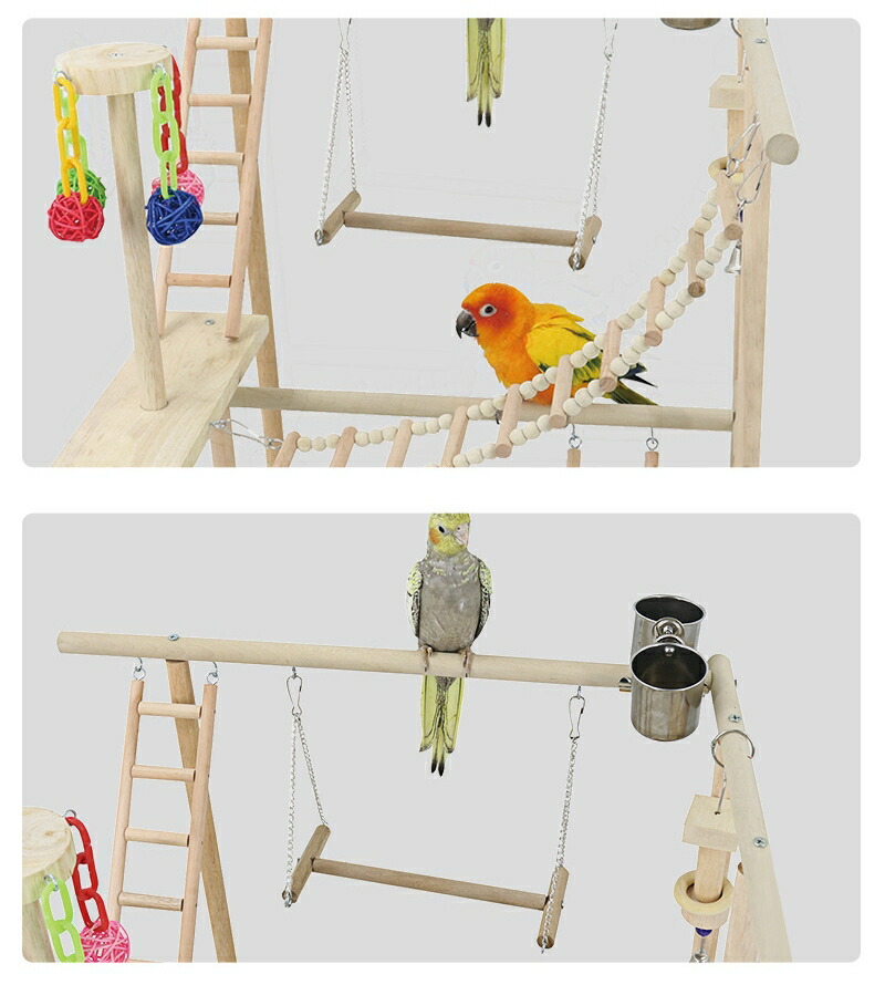 楽天市場】【お得なクーポン有り】インコ 鳥の止まり木 バード