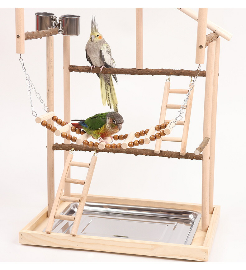 楽天市場】【お得なクーポン有り】インコ 遊び場 インコ おもちゃ