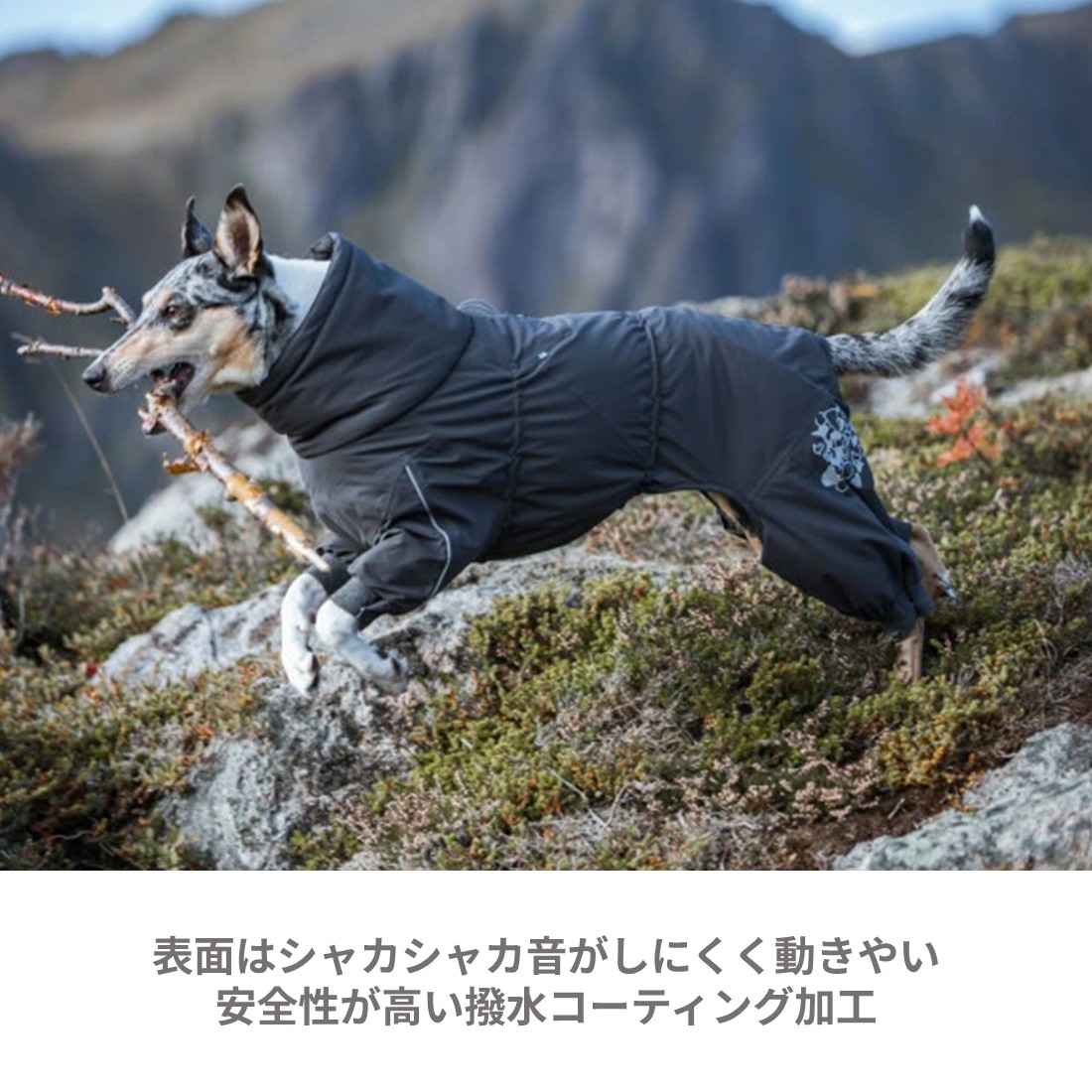 楽天市場】フィンランドのドッグブランド【Hurtta】【フルッタ】史上