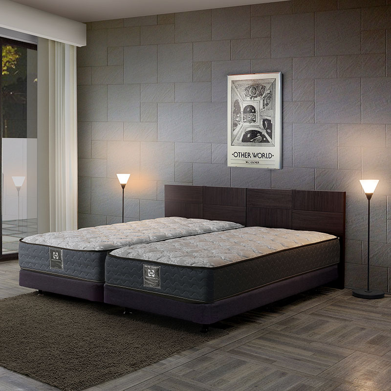 楽天市場】シーリーベッド セット Sealy ツインエール アミオンF