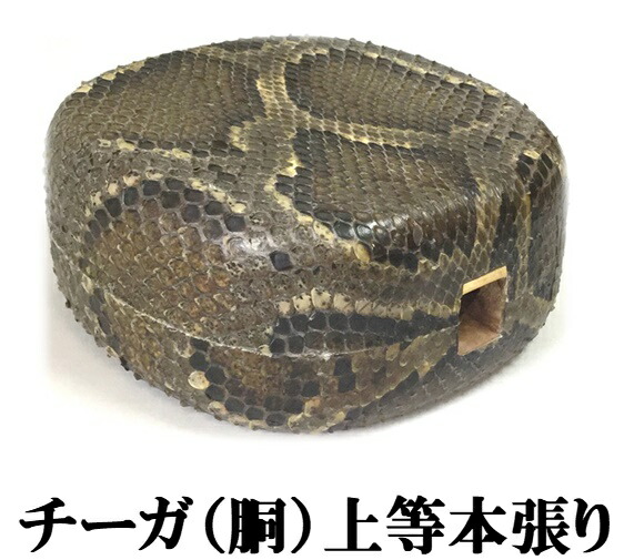 楽天市場】三線 チーガ 胴 上等本張り 本蛇皮一枚張り 蛇皮の2〜4番皮