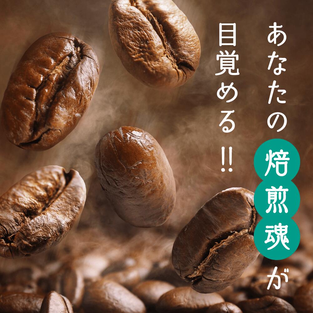 楽天市場】【楽天1位】 コーヒー生豆 福袋 12種類詰め合わせ 2.16kg