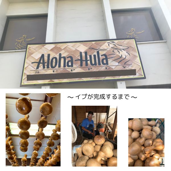 楽天市場】イプ Sサイズ フラ フラダンス 楽器 ハワイ ハワイアン