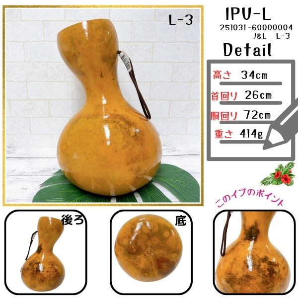 楽天市場】イプ Lサイズ フラ フラダンス 楽器 ハワイ ハワイアン