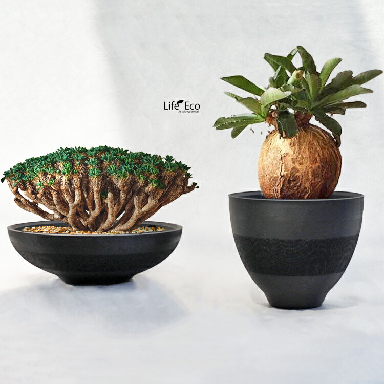 3Dプリンター鉢 メッシュ 2号 2.5号 3号 4号 セット 植木鉢 話題の3D