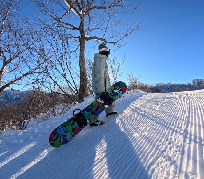 楽天市場】SCOOTER スクーター (SPINOR) スピナー 正規品 25-26